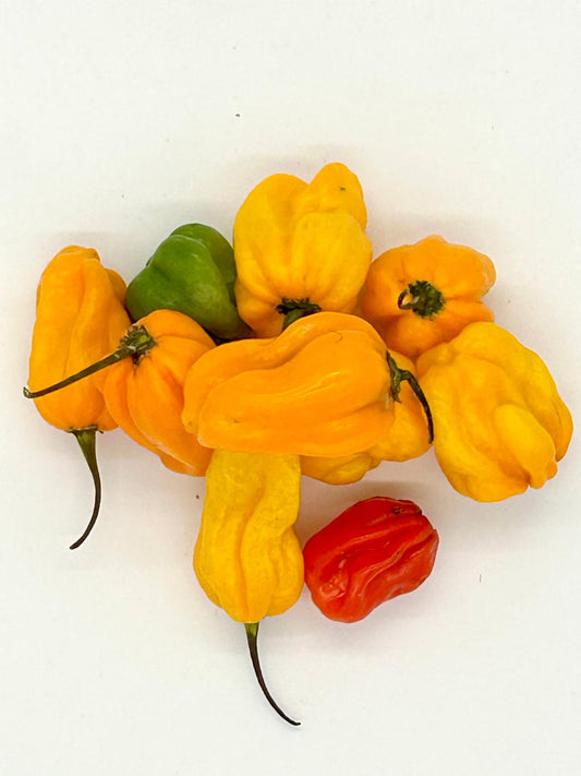 Piment habaneros 1kg